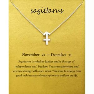 Sagittarius ♐️ Zodiac Chains Necklace